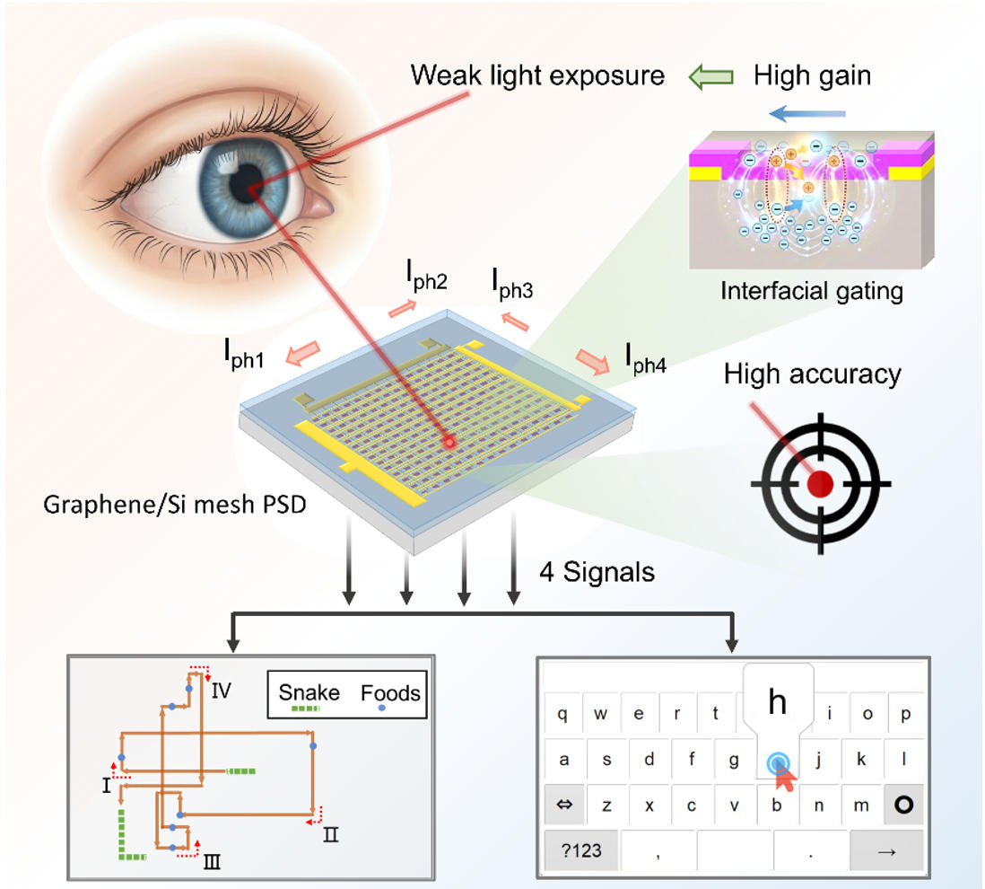 Ultrasensitive Mesh-Structured Position-Sensitive Detectors Enabling Eye Tracking for Human-Machine Interaction