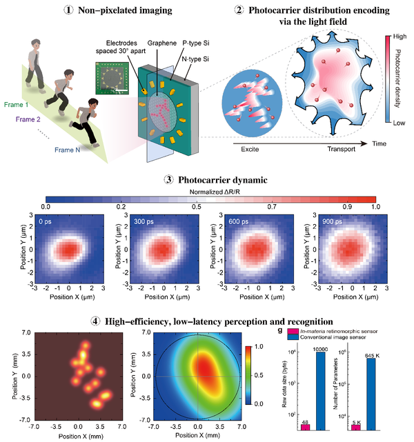 Non-pixelated in-materia retinomorphic sensor via photocarrier dynamics for precise spatiotemporal perception