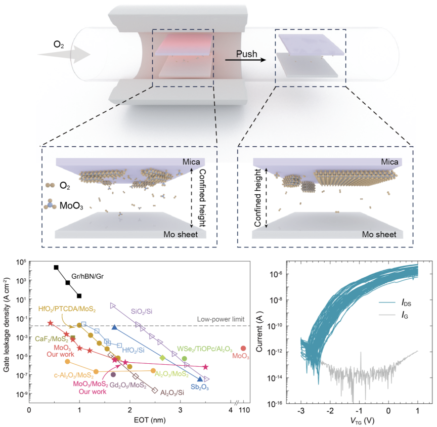 Large-area two-dimensional MoO3 as a high-k dielectric for van der Waals integration