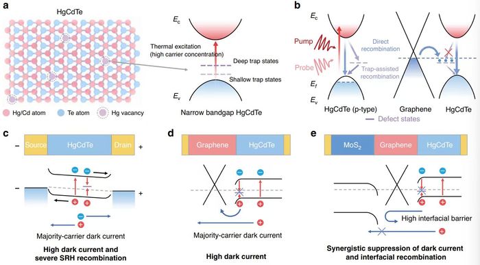 Van der Waals/MCT heterostructure enabled high-performance uncooled mid-infrared photodetectors